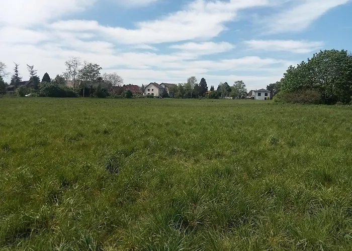 Stadtgruen 2